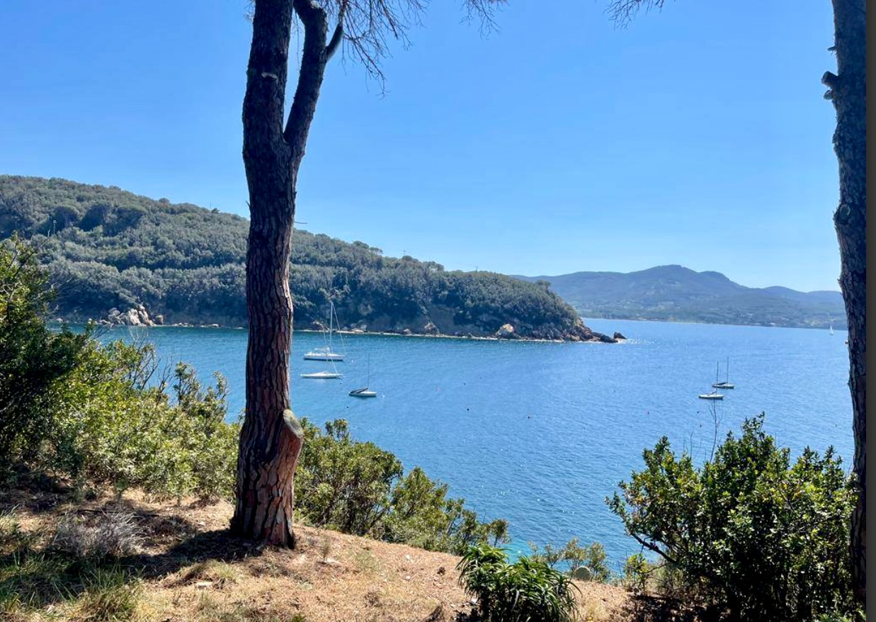 Willa - bioarchitektury - prywatne zejście nad morze – Wyspa Elba, Toskania!